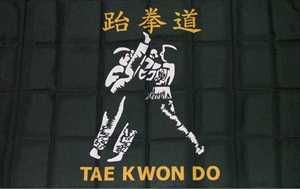 Tae-Kwon-Do Fahne/Flagge 90x150 cm