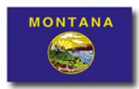Montana Fahne/Flagge 90x150cm