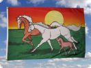 Pferde mit Fohlen Fahne/Flagge 90 x 150 cm ist auch in unserem Flaggen shop erhltlich!